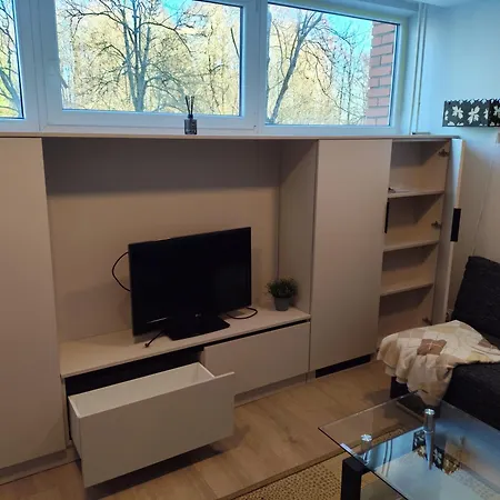 Jaunystes Studija Apartment Klaipėda