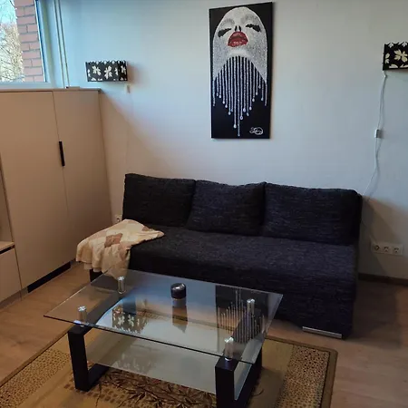 Jaunystes Studija 克莱佩达