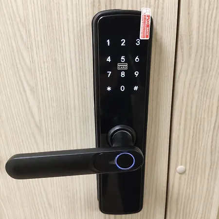 Jaunystes Studija * 克莱佩达