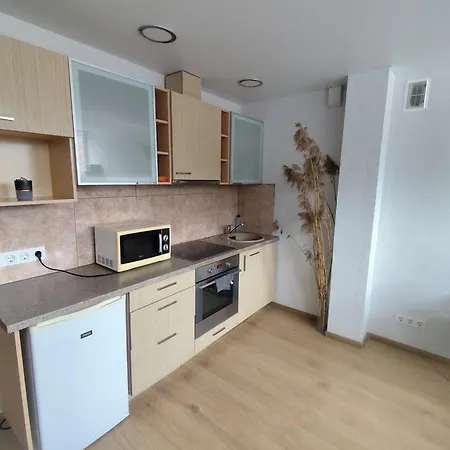 Апартаменты Jaunystes Studija Клайпеда