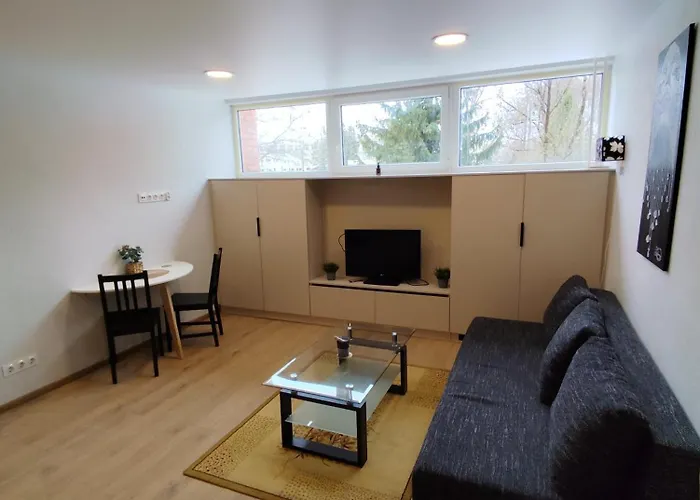 Jaunystes Studija * Клайпеда