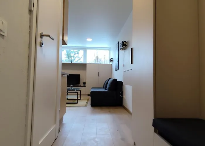 Апартаменты Jaunystes Studija *