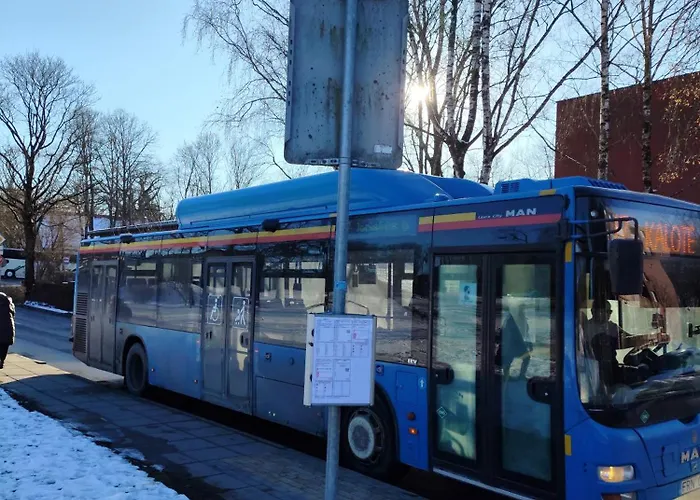 Апартаменты Jaunystes Studija Клайпеда