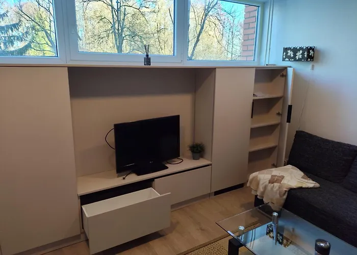 Jaunystes Studija Апартаменты Клайпеда