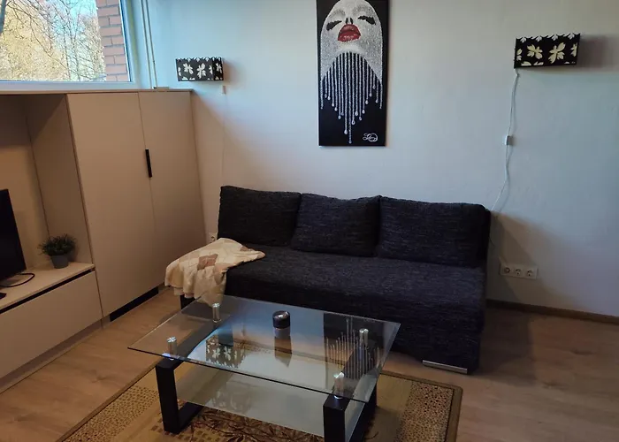 Jaunystes Studija 克莱佩达