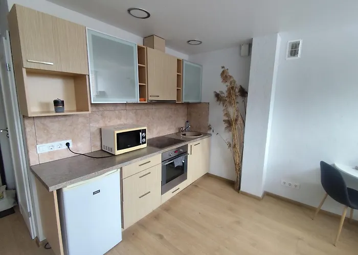 公寓 Jaunystes Studija 克莱佩达